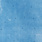 FL-HORSESHOE KEYS: ORTHOPHOTOMAP 1972 Preview 2