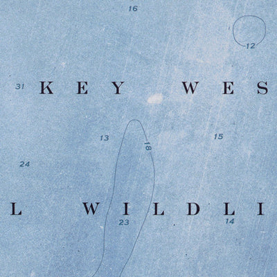 FL-MARQUESAS KEYS EAST: ORTHOPHOTOMAP 1971 Preview 2