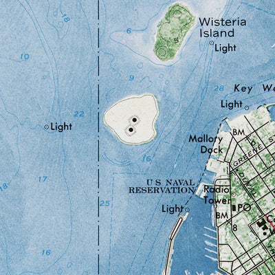 FL-KEY WEST: ORTHOPHOTOMAP 1971 Preview 2