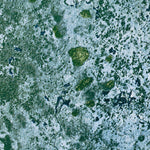FL-LAKE INGRAHAM EAST: ORTHOPHOTOMAP 1972 Preview 3