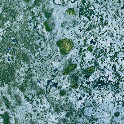FL-LAKE INGRAHAM EAST: ORTHOPHOTOMAP 1972 Preview 3