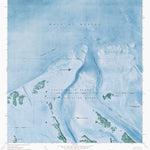 FL-CONTENT KEYS: ORTHOPHOTOMAP 1972 Preview 1