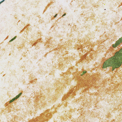 FL-PA-HAY-OKEE LOOKOUT TOWER: ORTHOPHOTOMAP 1972 Preview 2