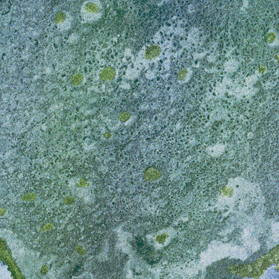 FL-WEST LAKE: ORTHOPHOTOMAP 1972 Preview 3