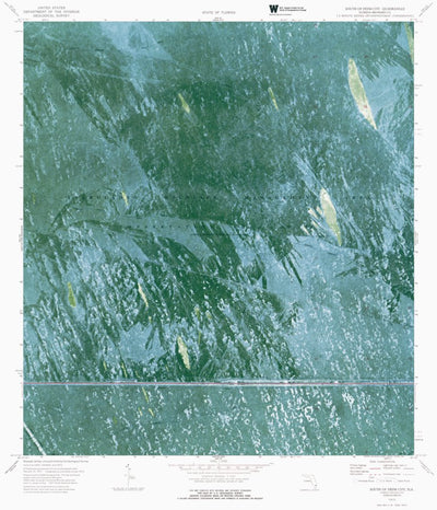 FL-SOUTH OF DEEM CITY: ORTHOPHOTOMAP 1973 Preview 1