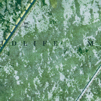 FL-WEST OF PENNSUCO: ORTHOPHOTOMAP 1973 Preview 2