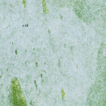 FL-WEST OF BIG LAKE: ORTHOPHOTOMAP 1974 Preview 2