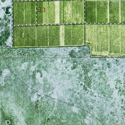 FL-LITTLE CYPRESS SWAMP: ORTHOPHOTOMAP 1974 Preview 2