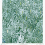FL-BIG LAKE: ORTHOPHOTOMAP 1973 Preview 1