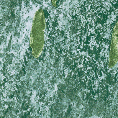 FL-BIG LAKE: ORTHOPHOTOMAP 1973 Preview 3
