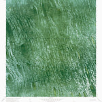 FL-MELALEUCA HEAD: ORTHOPHOTOMAP 1973 Preview 1