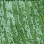 FL-MELALEUCA HEAD: ORTHOPHOTOMAP 1973 Preview 2