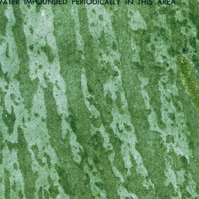 FL-MELALEUCA HEAD: ORTHOPHOTOMAP 1973 Preview 2