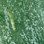 FL-MELALEUCA HEAD: ORTHOPHOTOMAP 1973 Preview 3