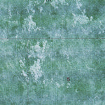 FL-SOUTH OF OKEELANTA: ORTHOPHOTOMAP 1974 Preview 3