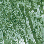 FL-HORSESHOE HEAD: ORTHOPHOTOMAP 1974 Preview 3
