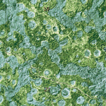 FL-CALIFORNIA SLOUGH: ORTHOPHOTOMAP 1974 Preview 3