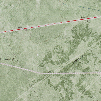 TX-TWIN MOTT LAKE: ORTHOPHOTOMAP 1978 Preview 2