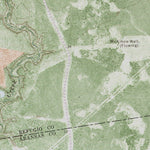 TX-TWIN MOTT LAKE: ORTHOPHOTOMAP 1978 Preview 3