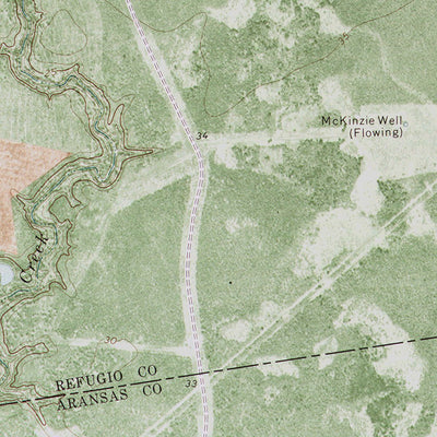TX-TWIN MOTT LAKE: ORTHOPHOTOMAP 1978 Preview 3