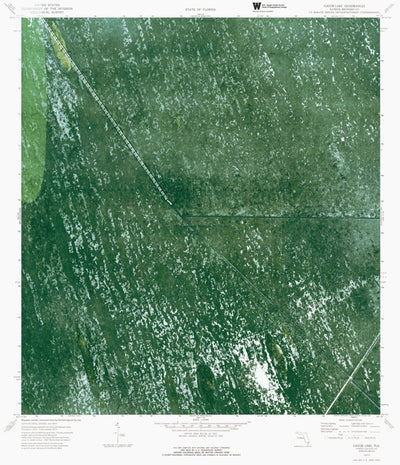 FL-GATOR LAKE: ORTHOPHOTOMAP 1973 Preview 1