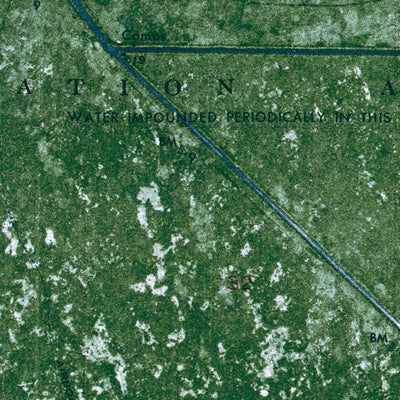 FL-GATOR LAKE: ORTHOPHOTOMAP 1973 Preview 2