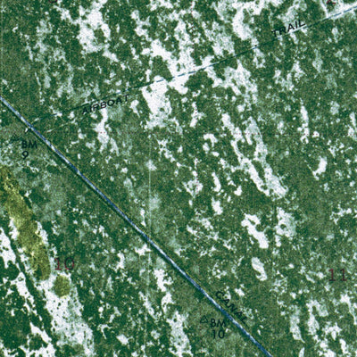 FL-GATOR LAKE: ORTHOPHOTOMAP 1973 Preview 3