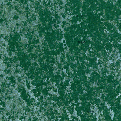 FL-NORTH OF LONE PALM HEAD: ORTHOPHOTOMAP 1974 Preview 2