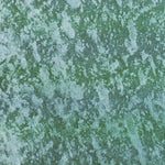 FL-LOXAHATCHEE SW: ORTHOPHOTOMAP 1970 Preview 3