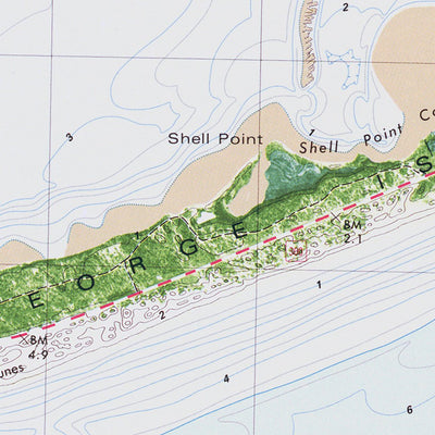 FL-GOOSE ISLAND: ORTHOPHOTOMAP 1981 Preview 2