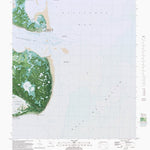 FL-LIGHTHOUSE POINT: ORTHOPHOTOMAP 1982 Preview 1