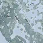 LA-SOUTH PASS: ORTHOPHOTOMAP 1971 Preview 2