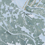 LA-SOUTH PASS: ORTHOPHOTOMAP 1971 Preview 3