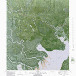FL-BEVERLY: ORTHOPHOTOMAP 1981 Preview 1