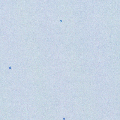 FL-COCHRANS PASS: ORTHOPHOTOMAP 1971 Preview 2