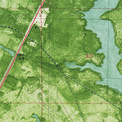 FL-WHITE CITY: ORTHOPHOTOMAP 1982 Preview 2
