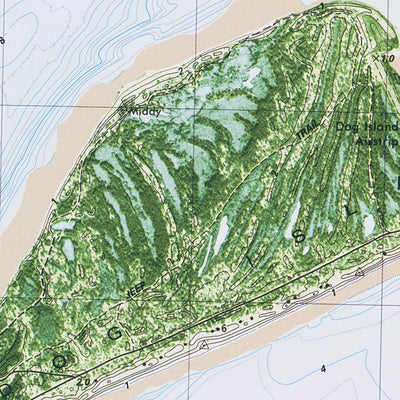 FL-DOG ISLAND: ORTHOPHOTOMAP 1982 Preview 3