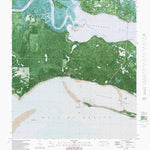 FL-SAINT TERESA: ORTHOPHOTOMAP 1981 Preview 1