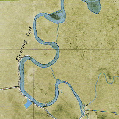 LA-FLOATING TURF BAYOU: ORTHOPHOTOMAP 1979 Preview 2