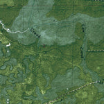 FL-GREEN POINT: ORTHOPHOTOMAP 1982 Preview 2