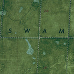 FL-TATES HELL SWAMP: ORTHOPHOTOMAP 1981 Preview 2