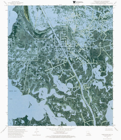 LA-THREE BAYOU BAY: ORTHOPHOTOMAP 1973 Preview 1