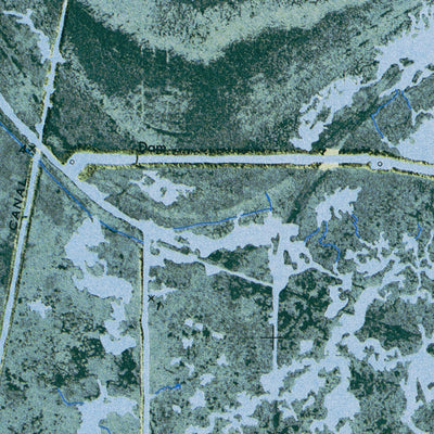 LA-THREE BAYOU BAY: ORTHOPHOTOMAP 1973 Preview 3