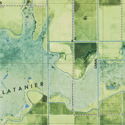 LA-LATANIER BAYOU: ORTHOPHOTOMAP 1979 Preview 2