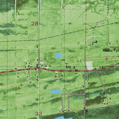 LA-GRAND BAYOU: ORTHOPHOTOMAP 1982 Preview 2