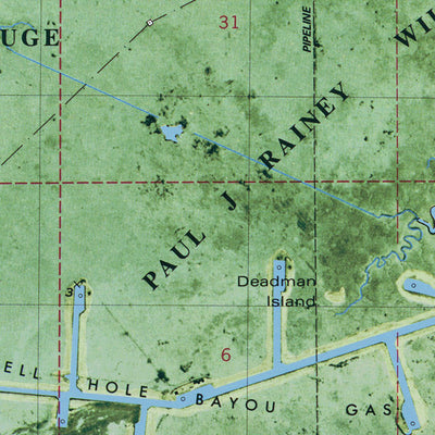 LA-HELL HOLE BAYOU: ORTHOPHOTOMAP 1979 Preview 3