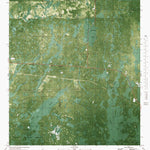 FL-SAINT MARKS NE: ORTHOPHOTOMAP 1982 Preview 1