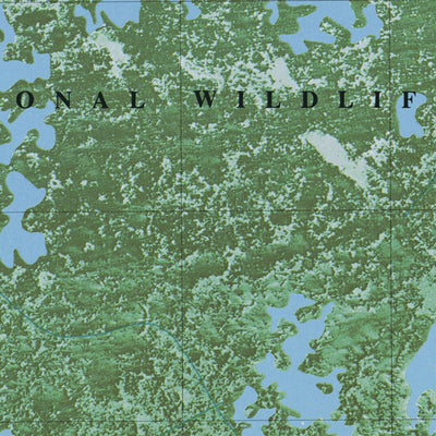 LA-GREENS BAYOU: ORTHOPHOTOMAP 1982 Preview 3