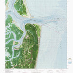 FL-GA-FERNANDINA BEACH: ORTHOPHOTOMAP 1981 Preview 1