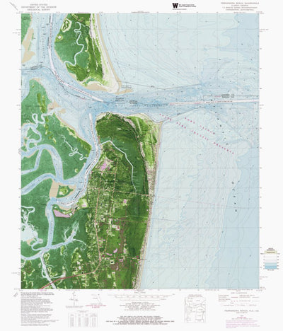 FL-GA-FERNANDINA BEACH: ORTHOPHOTOMAP 1981 Preview 1
